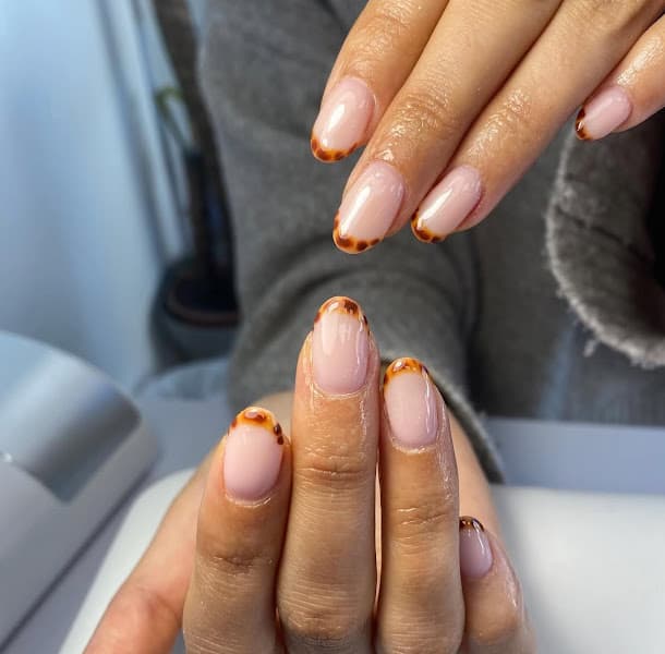 Sasha's Aesthetics Ltd