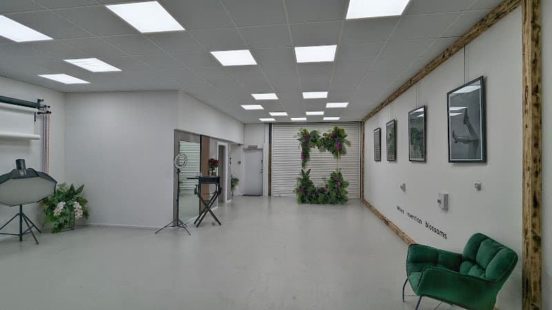 Visual Vibe Atelier Ltd