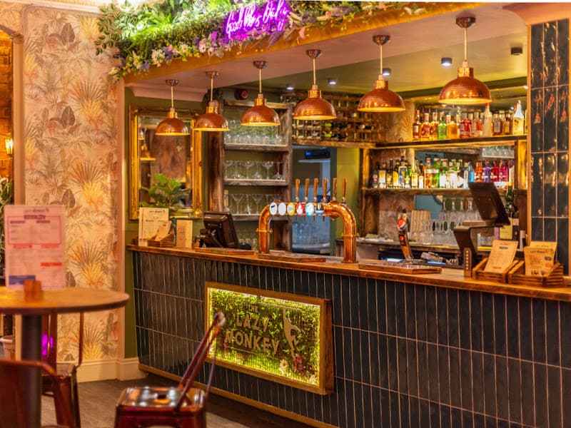 The Lazy Monkey Bar & Kitchen