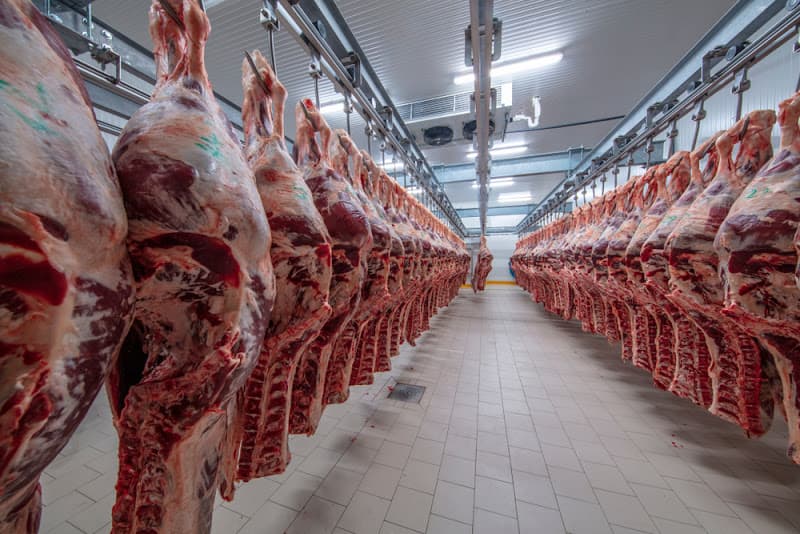 Zabihah Meat Processors