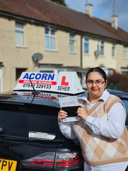 Automatic Driving Instructor